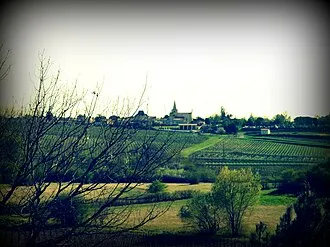 Berson (Gironde)