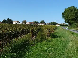 Saint-Ciers-de-Canesse (Gironde)